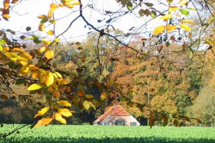 013 Zeer rustig gelegen zeven persoons vakantiehuis in Gelderland