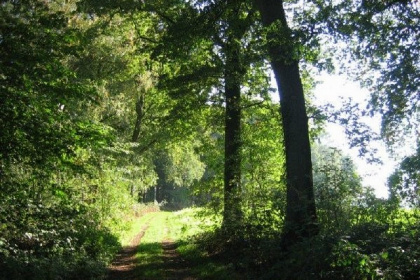 022 Zeer rustig gelegen zeven persoons vakantiehuis in Gelderland