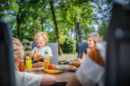 036 10 persoons vakantiehuis met een sauna, hottub en een bioscoop op vakantiepark de Rimboe