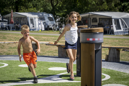 024 4 persoons Boslodge op een vakantiepark nabij Hoenderloo op de Veluwe