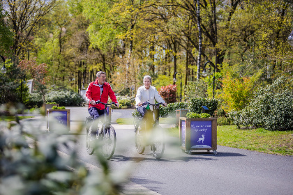 053 4 persoons chalet op vakantiepark de Rimboe in Hoenderloo op de Veluwe