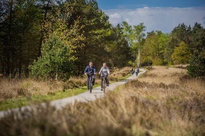 055 4 persoons chalet op vakantiepark de Rimboe in Hoenderloo op de Veluwe