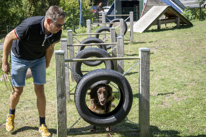 018 4 persoons chalet op vakantiepark 't Schinkel in Hoenderloo