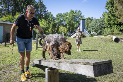 021 4 persoons chalet op vakantiepark 't Schinkel in Hoenderloo