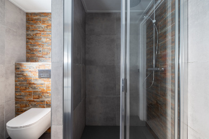 021 Groepsaccommodatie Veluwe Villa | 10 persoons