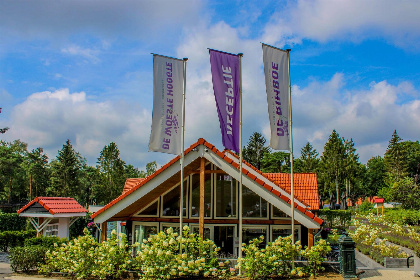 024 Groepsaccommodatie Veluwe Villa | 10 persoons