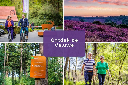 027 Groepsaccommodatie Veluwe Villa | 10 persoons