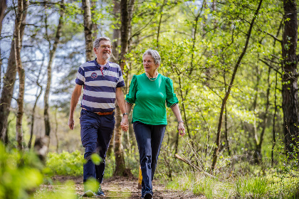 054 Luxe 4 persoons vakantiehuis op de Veluwe nabij Hoenderloo