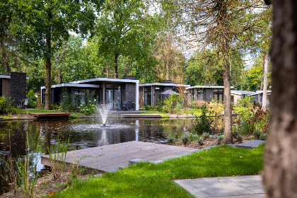 028 Modern 4 persoons vakantiehuis met airco, sfeerhaard en een dakterras op de Veluwe