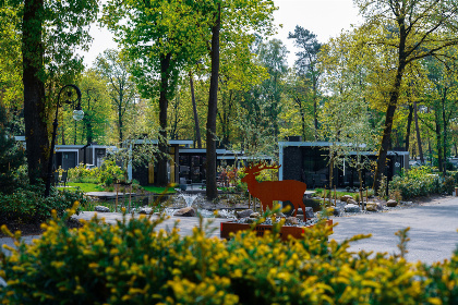 030 Modern 4 persoons vakantiehuis met airco, sfeerhaard en een dakterras op de Veluwe