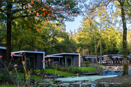 034 Modern 4 persoons vakantiehuis met airco, sfeerhaard en een dakterras op de Veluwe