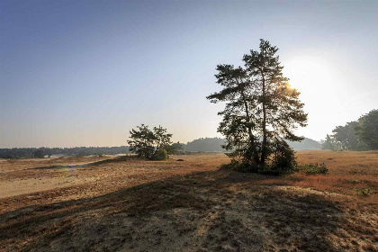 007 Prachtig 14 persoons vakantiehuis op de Veluwe