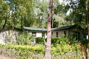 Prachtige 6 persoons vakantiebungalow met gratis internet!