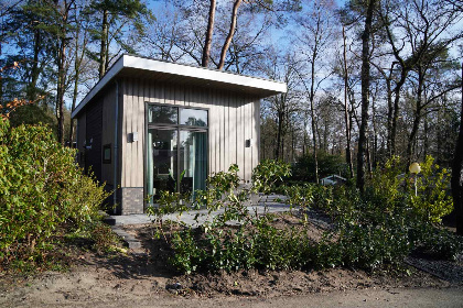 011 Tiny House voor 4 personen op vakantiepark de Rimboe in Hoenderloo op de Veluwe