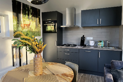 005 Tinyhouse comfort | 4 persoons