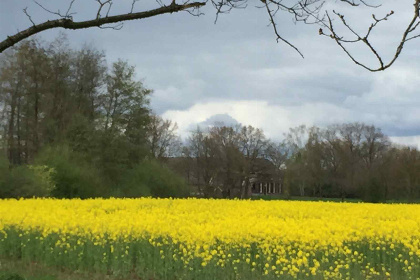 008 14 persoons groepsaccommodatie in Hoog Keppel nabij Doesburg