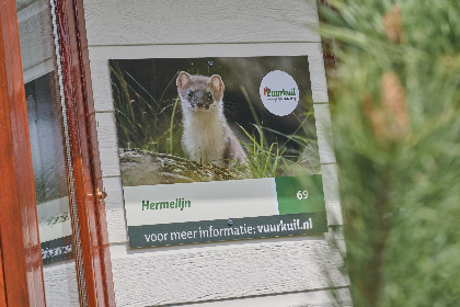 029 Hermelijn