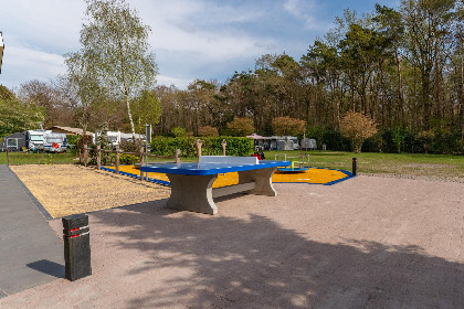 046 Kuifmees