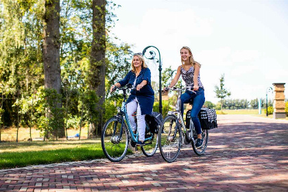 025 Chalet voor 5 personen op een vakantiepark in Lichtenvoorde