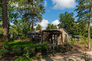 Modern 4 persoons vakantiehuis op een mooi vakantiepark op de Veluwe