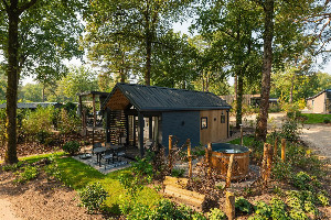 Tiny House voor 4 personen met een hottub op de Bosgraaf in Lieren