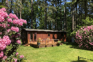 Knus 4 persoons chalet met terras in het bos bij Lochem