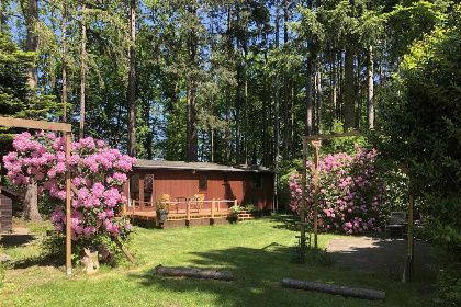 006 Knus 4 persoons chalet met terras in het bos bij Lochem