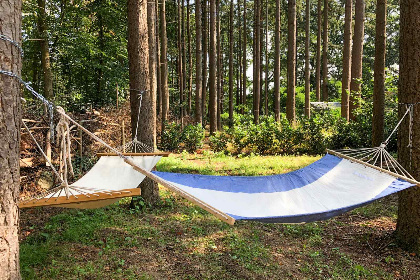 009 Knus 4 persoons chalet met terras in het bos bij Lochem