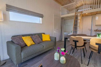 007 Moderne 4 persoons Tiny House op een prachtig vakantiepark in de Achterhoek