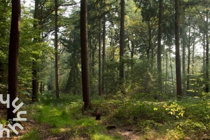 001 Prachtig 9 persoons vakantiehuis in de Achterhoek nabij Lochem