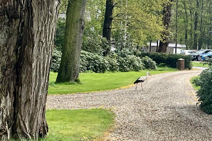 004 Sfeervol 4 persoons vakantiehuis in Loenen nabij de Veluwe