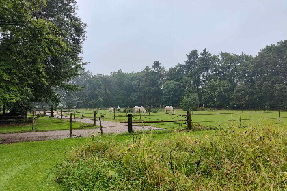 016 Sfeervol 4 persoons vakantiehuis in Loenen nabij de Veluwe