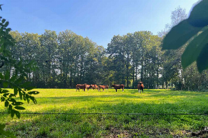 022 Sfeervol 4 persoons vakantiehuis in Loenen nabij de Veluwe