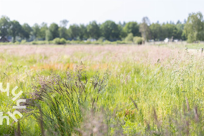 018 Uniek gelegen 4 persoons boshuisje aan de rand van de Veluwe