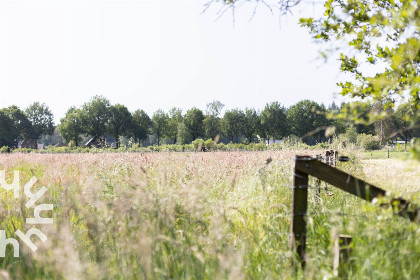 027 Uniek gelegen 4 persoons boshuisje aan de rand van de Veluwe