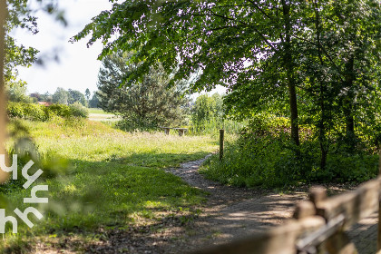 028 Uniek gelegen 4 persoons boshuisje aan de rand van de Veluwe