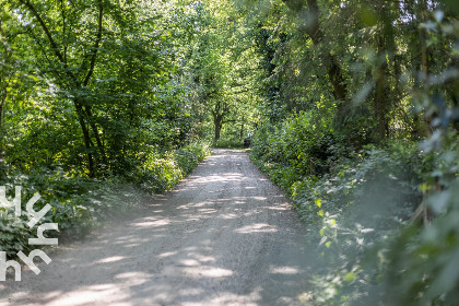 029 Uniek gelegen 4 persoons boshuisje aan de rand van de Veluwe