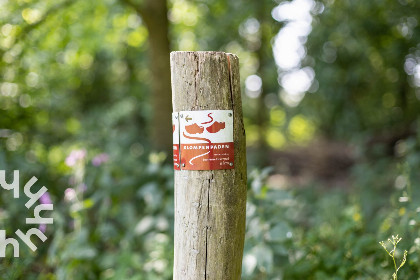 038 Uniek gelegen 4 persoons boshuisje aan de rand van de Veluwe