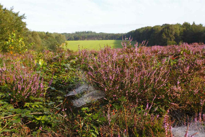 023 4 persoons vakantiehuis met bubbelbad en sauna op Landgoed de Scheleberg in Lunteren