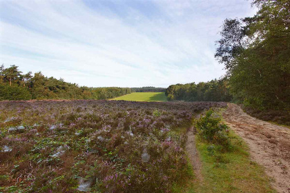 023 5 persoons chalet op Landgoed De Scheleberg op de Veluwe