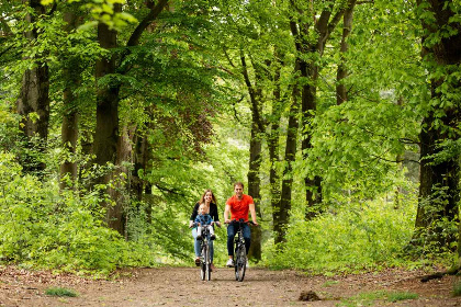 020 Modern ingerichte villa voor 7 personen op een vakantiepark