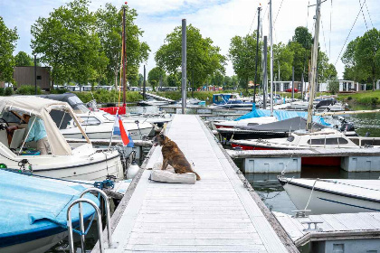 026 2 persoons Tiny House met uitzicht over de Nederrijn bij Maurik