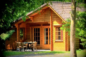 Compact 8 persoons Finse vakantiebungalow midden in de bossen in de Achterhoek