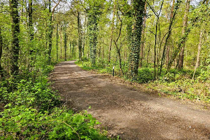 012 Compact 8 persoons Finse vakantiebungalow midden in de bossen in de Achterhoek