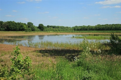 017 Finse bungalow met sauna midden in het bos in Gelderland voor 10 personen