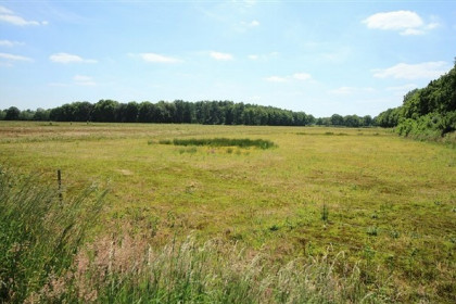 018 Finse bungalow met sauna midden in het bos in Gelderland voor 10 personen