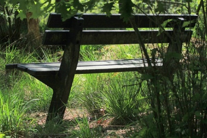 022 Finse bungalow met sauna midden in het bos in Gelderland voor 10 personen