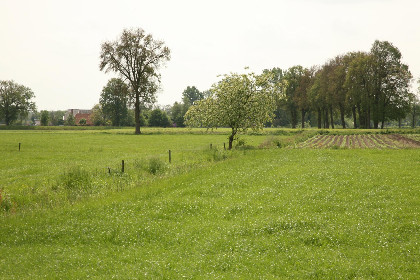 026 t Achterhoes