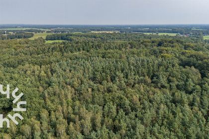 006 Uniek vakantiehuis voor 5 personen in het bos, vlakbij het dorp Neede in de Achterhoek