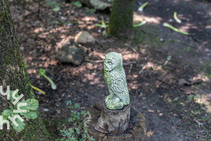 021 Uniek vakantiehuis voor 5 personen in het bos, vlakbij het dorp Neede in de Achterhoek